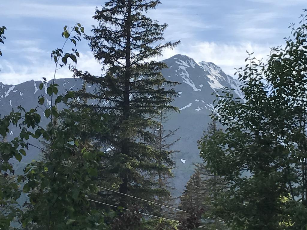 Resurrection River Rentals Seward Dış mekan fotoğraf